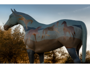 Horseplay